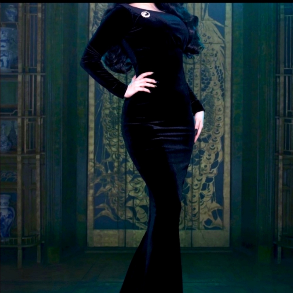 NWT BEATRIX Pinup Girl x Laura Byrnes velvet stretch dress.